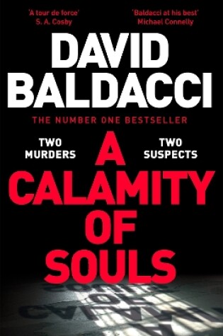 Cover of A Calamity of Souls