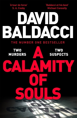 Book cover for A Calamity of Souls