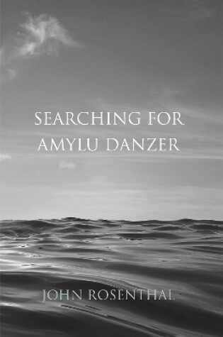 Cover of Searching for Amylu Danzer