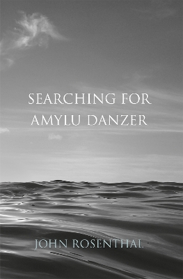 Book cover for Searching for Amylu Danzer