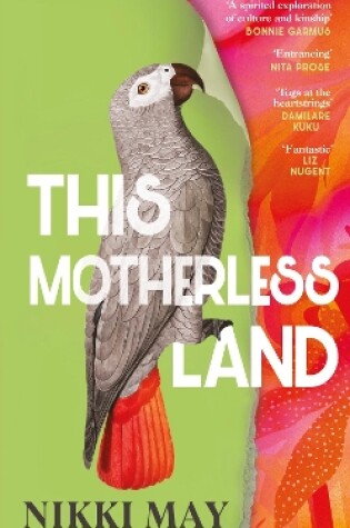 Cover of This Motherless Land