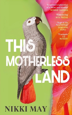 Book cover for This Motherless Land