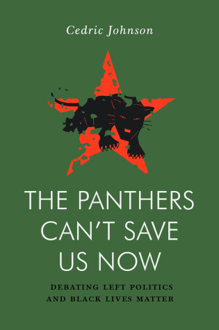 Cover of The Panthers Can't Save Us Now