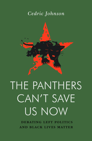 Book cover for The Panthers Can't Save Us Now