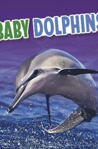 Cover of Baby Dolphins