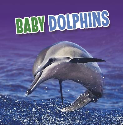 Book cover for Baby Dolphins