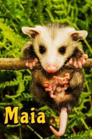 Cover of Maia