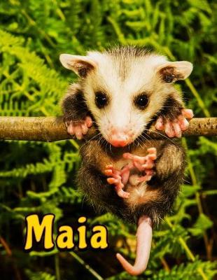 Book cover for Maia