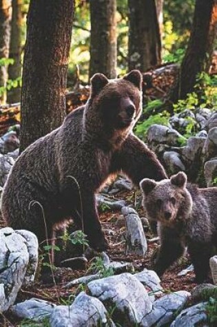 Cover of Mom & Baby Brown Bears