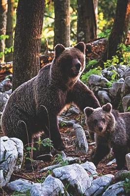 Book cover for Mom & Baby Brown Bears