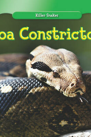 Cover of Boa Constrictor