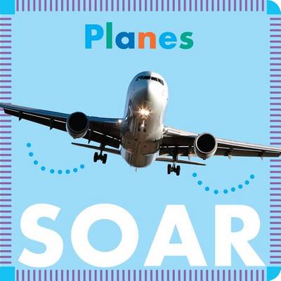 Book cover for Planes Soar