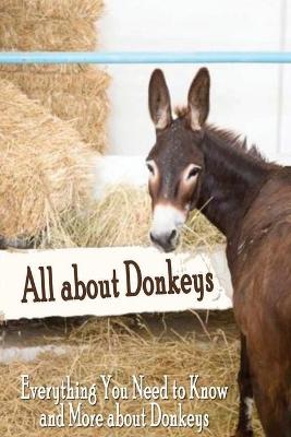 Book cover for All about Donkeys