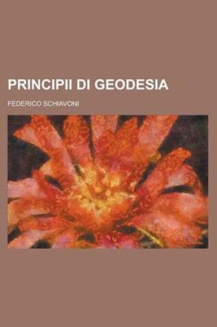 Cover of Principii Di Geodesia