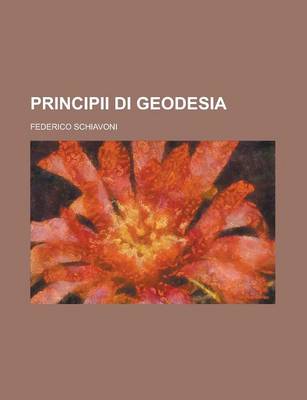 Book cover for Principii Di Geodesia
