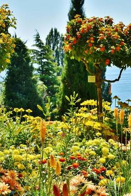 Book cover for A Garden at Mainau Island on Lake Constance in Germany