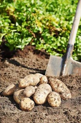 Book cover for Potatoes on the Ground Journal