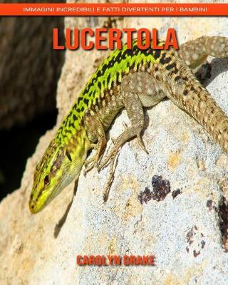 Book cover for Lucertola