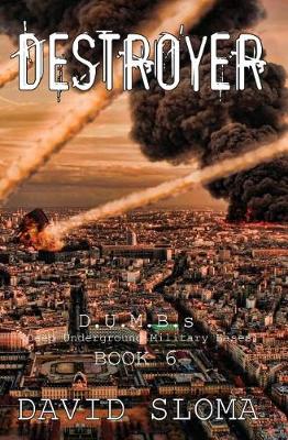 Book cover for Destroyer