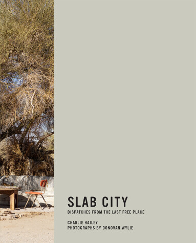 Book cover for Slab City