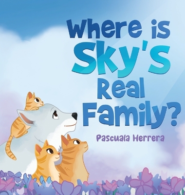 Book cover for Where Is Sky's Real Family?