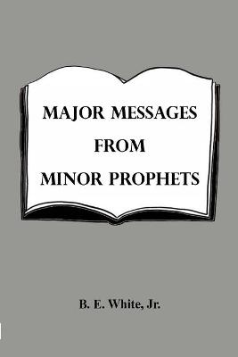 Book cover for Major Messages from Minor Prophets