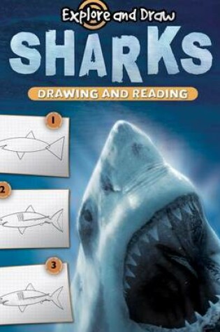 Cover of Sharks, Drawing and Reading