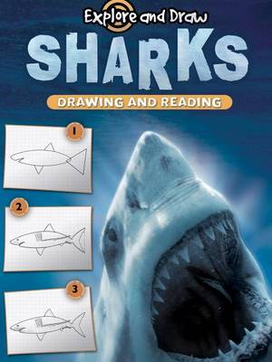 Book cover for Sharks, Drawing and Reading
