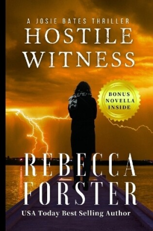 Cover of Hostile Witness