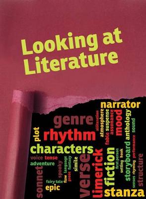 Book cover for Looking at Literature