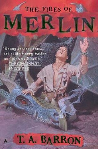 The Fires of Merlin