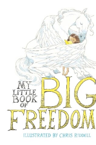 Cover of My Little Book of Big Freedoms