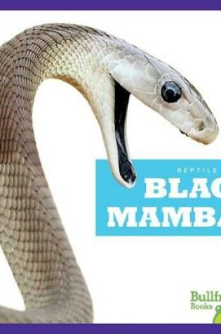 Cover of Black Mambas