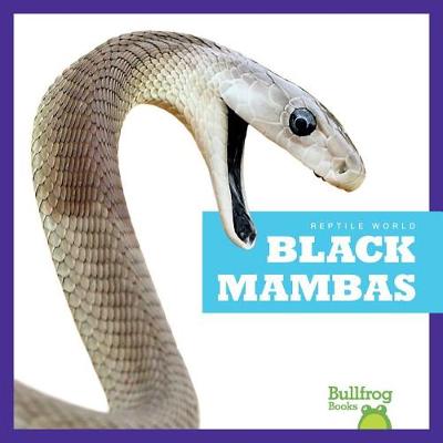 Book cover for Black Mambas