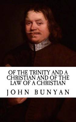 Book cover for Of the Trinity and a Christian