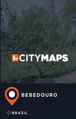 Book cover for City Maps Bebedouro Brazil