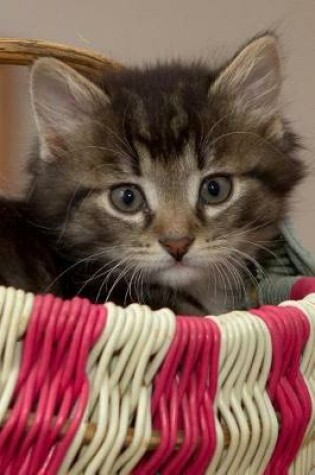 Cover of Kitten in a Basket Journal