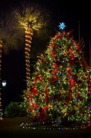 Cover of Christmas Time in Florida