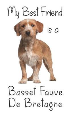 Cover of My best Friend is a Basset Fauve De Bretagne