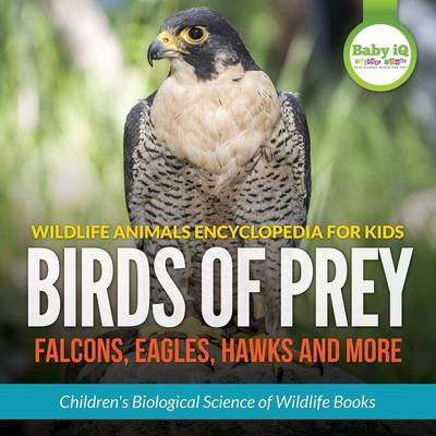 Book cover for Wildlife Animals Encyclopedia for Kids - Birds of Prey (Falcon, Eagle, Hawks and More) - Children's Biological Science of Wildlife Books