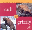 Book cover for Cub to Grizzly