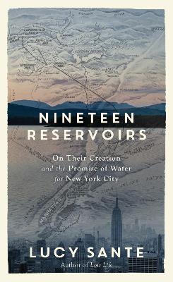 Book cover for Nineteen Reservoirs