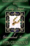 Book cover for Lady Angel of Shenandoah County