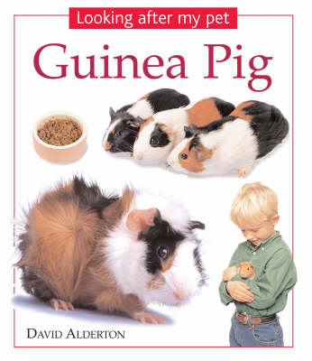 Cover of Guinea Pig