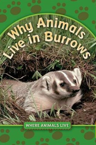 Cover of Why Animals Live in Burrows