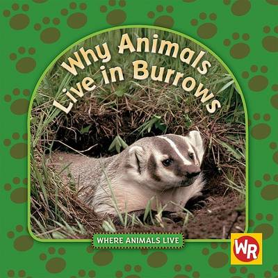 Book cover for Why Animals Live in Burrows