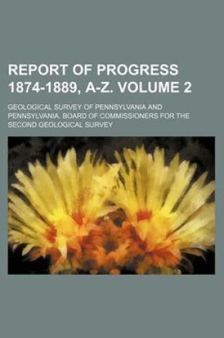 Cover of Report of Progress 1874-1889, A-Z. Volume 2