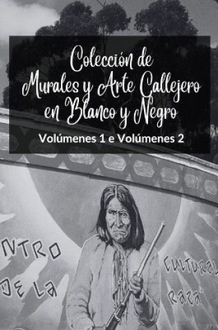 Cover of Colección de Murales y Arte Callejero en Blanco y Negro - Volúmenes 1 y 2