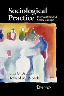 Book cover for Sociological Practice