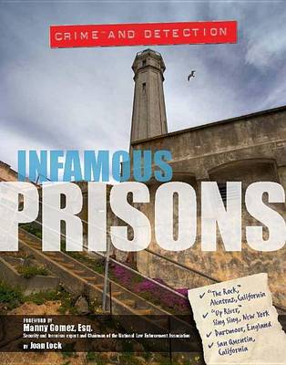 Book cover for Infamous Prisons